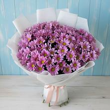 Букет цветов из:  Хризантемы #REPLACE_PRED# Бирючах