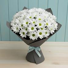 Букет цветов из:  Хризантемы в Бирючах
